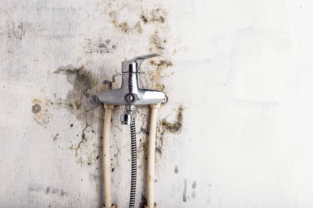 Best Mold Testing  in Rancho Mirage, CA