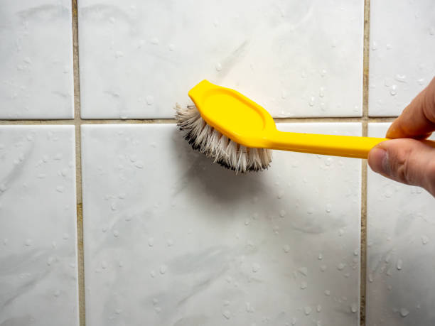 Best Mold Removal Near Me  in Rancho Mirage, CA