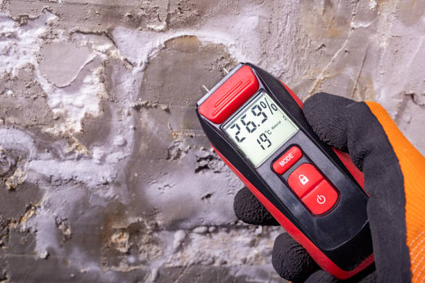 Best Local Mold Removal Service  in Rancho Mirage, CA