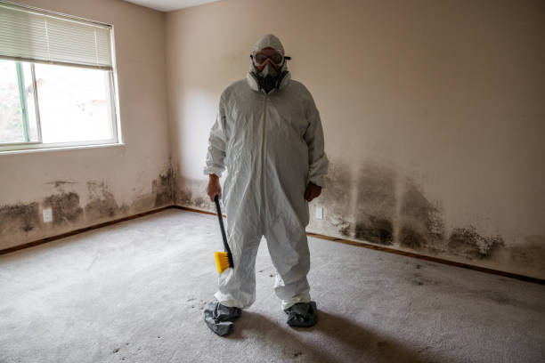 Trusted Rancho Mirage, CA Mold Removal Experts